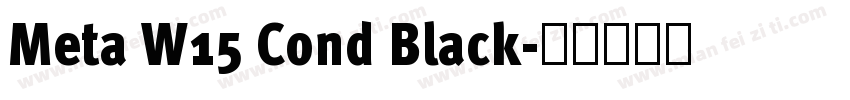 Meta W15 Cond Black字体转换